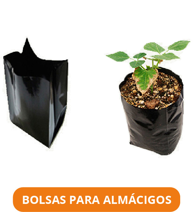 BOLSAS PARA ALMÁCIGOS