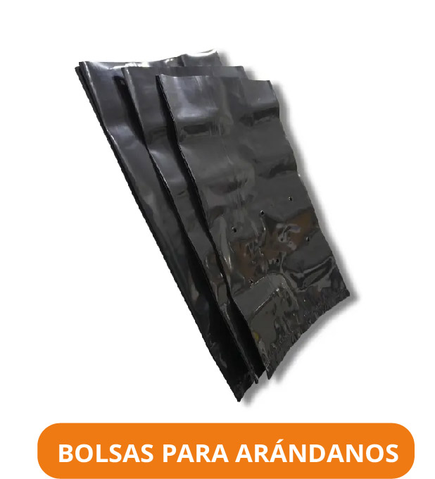 Bolsas para arandanos